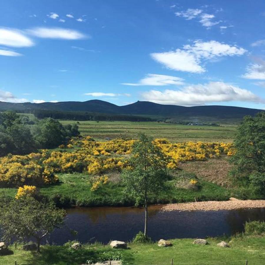 Feughside Guesthouse Banchory Dış mekan fotoğraf